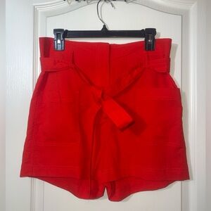 NWOT-Shinestar Large Ted Dress Shorts
